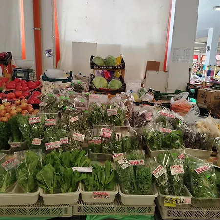 Good Mood Appartement *