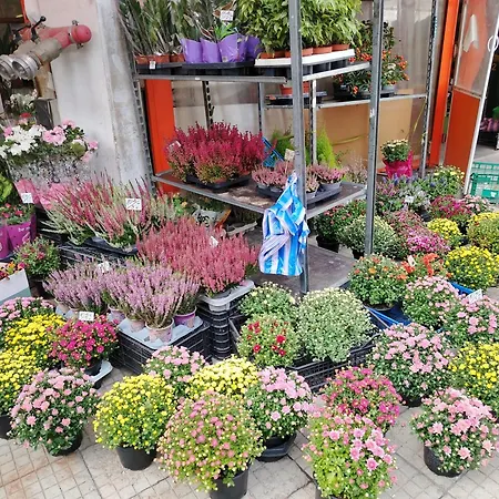 Good Mood Appartement