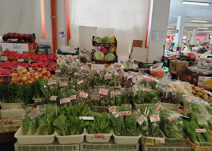 Good Mood Lejlighed *